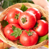 京地达山东普罗旺斯西红柿严选5斤彩箱装自然熟沙瓢番茄新鲜蔬菜